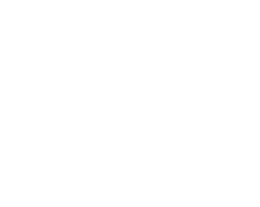 Logo Seat