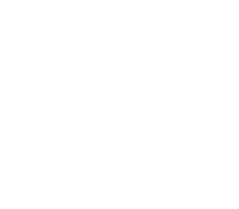 Logo VW Nutzfahrzeuge