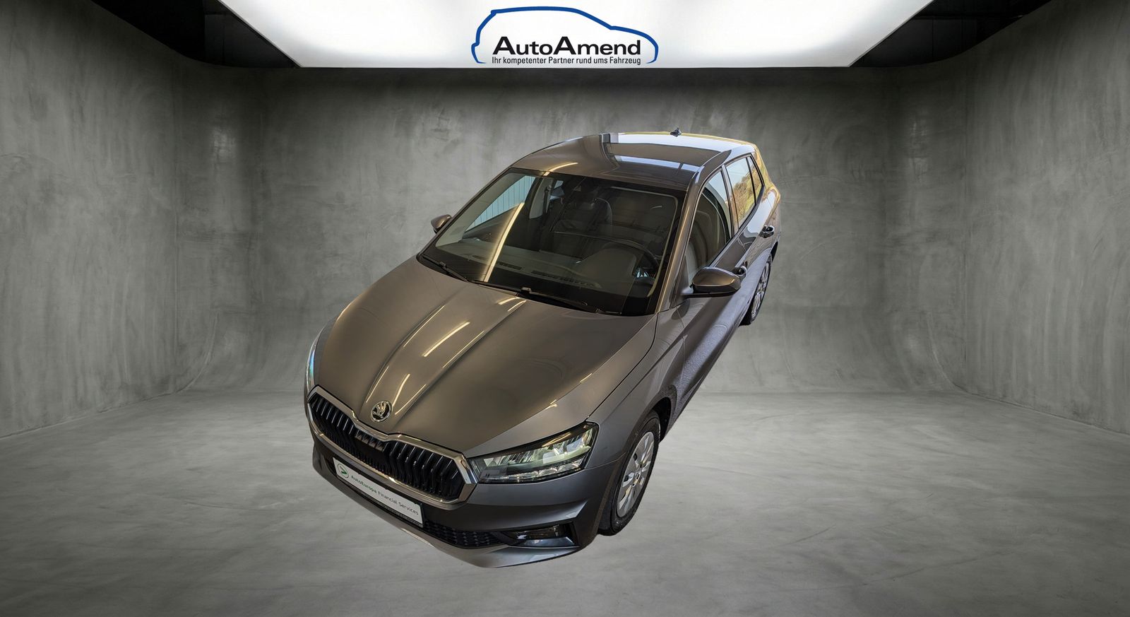 Fahrzeugabbildung SKODA Fabia Fabia 1.0 TSI Selection DSG LED Smart PDC SHZ VC